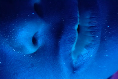 Gallery Thumb 2